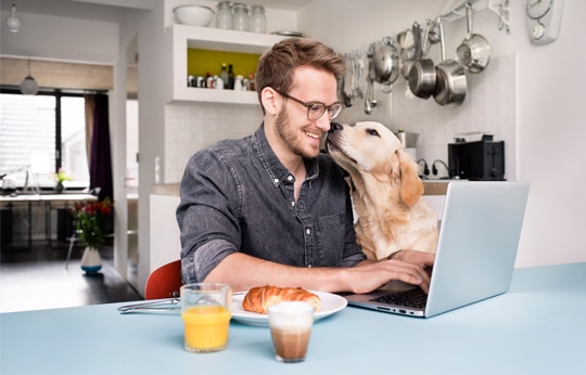 Homem feliz na mesa da cozinha com cachorro no colo usando um notebook para fazer uma remessa internacional.