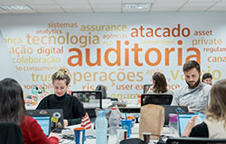 ambiente de trabalho do departamento de auditoria. colaboradores sentados em suas respectivas mesas de trabalho.