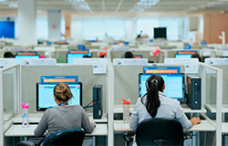 duas colaboradoras de costas para foto em frente aos seus respectivos monitores.