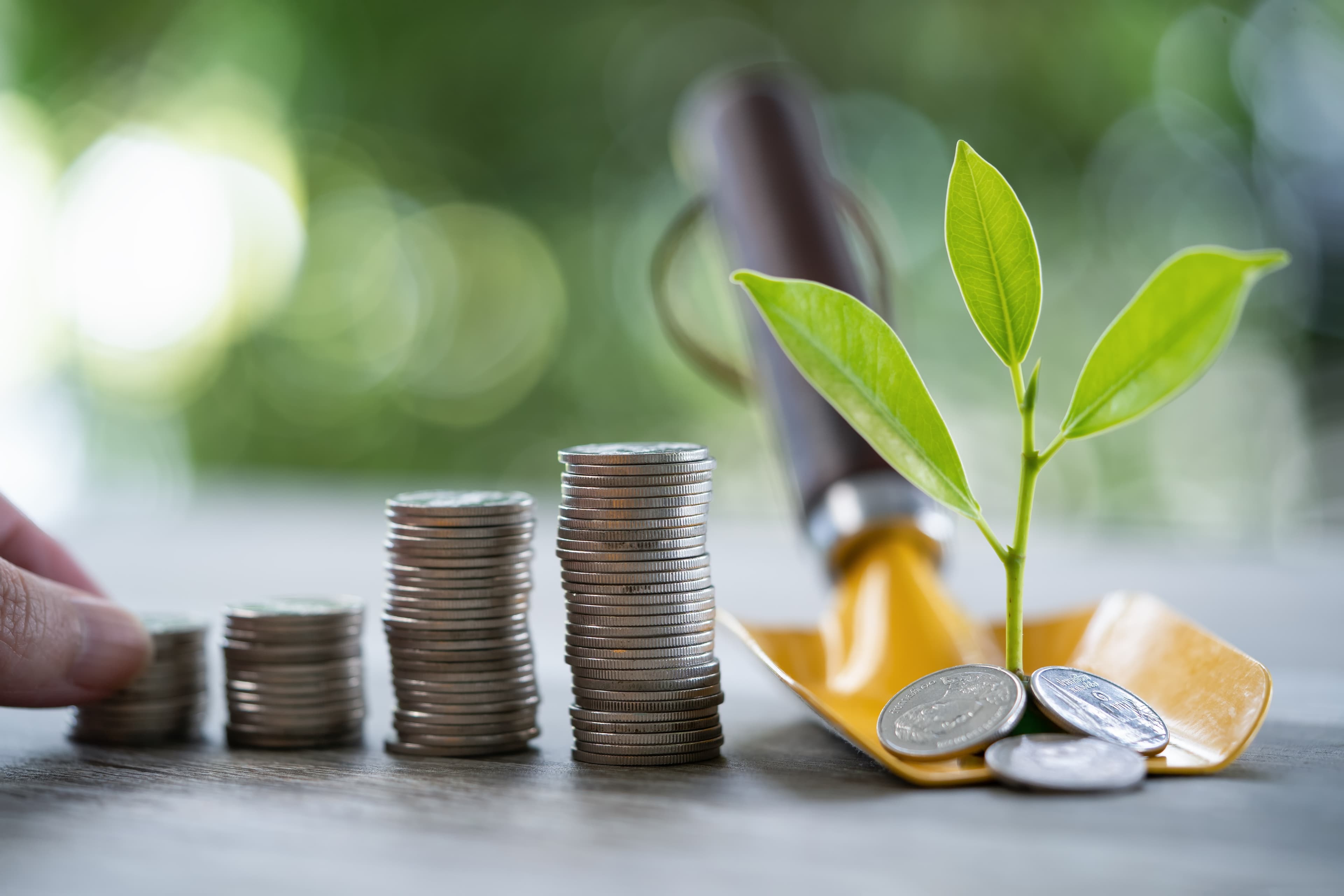Imagem ilustrativa de uma pá segurando uma pequena planta e um empilhado de moedas ao lado