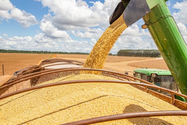 Grãos sendo transferidos de uma colheitadeira para um caminhão em uma lavoura, simbolizando o agronegócio.