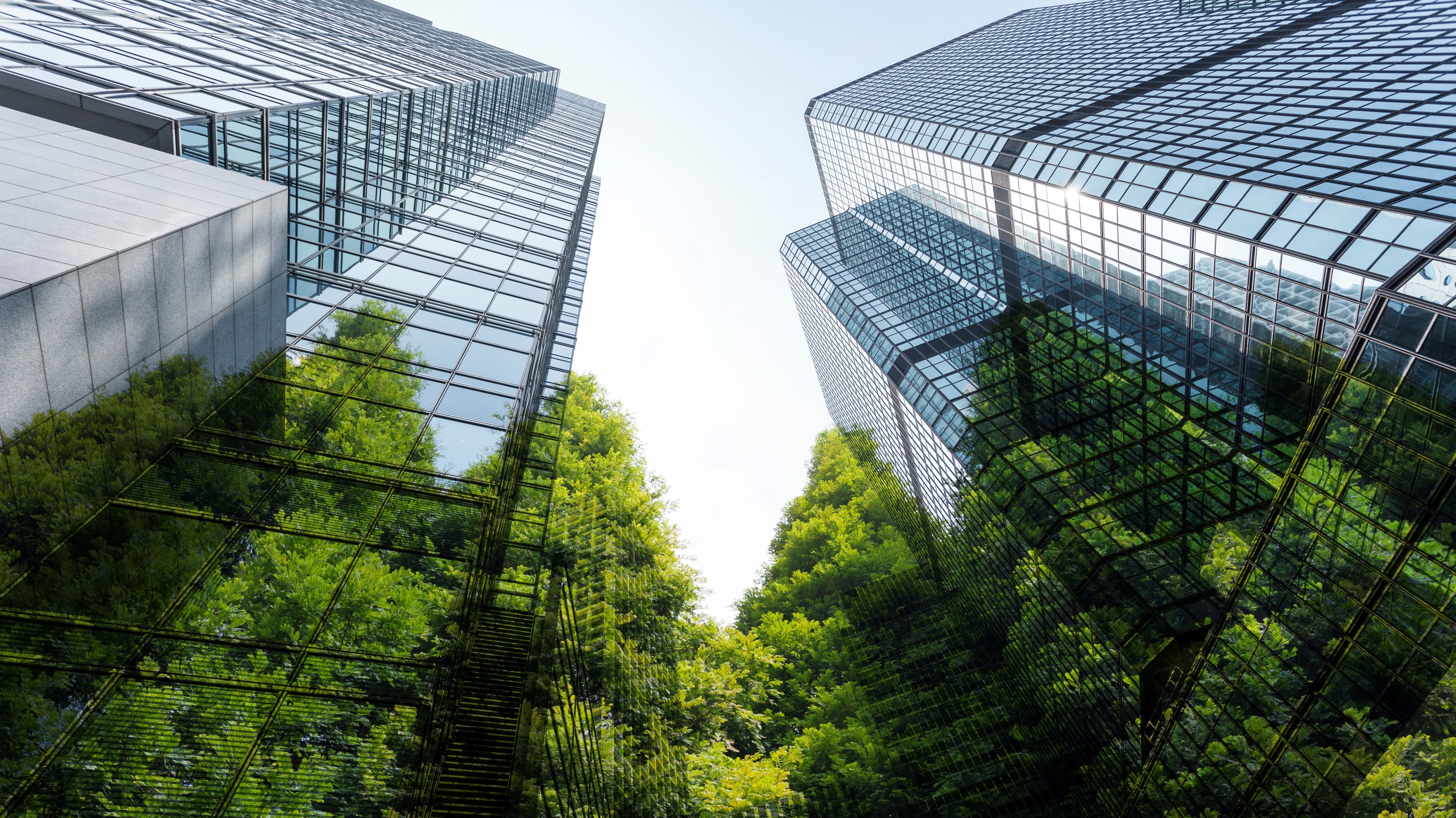 Sustentabilidade avança no mercado financeiro, mas desafios regulatórios e climáticos seguem no radar