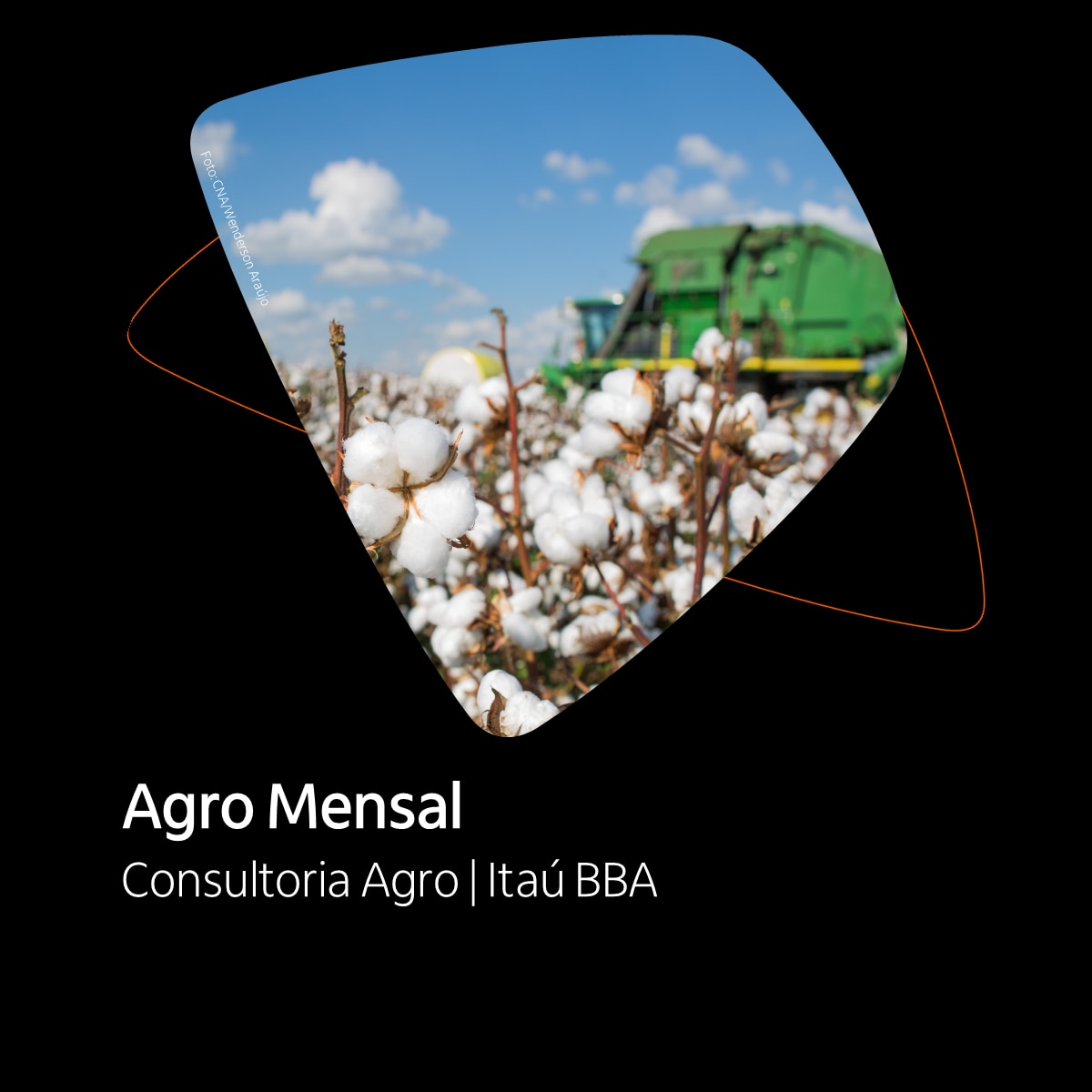 Principais análises do mês