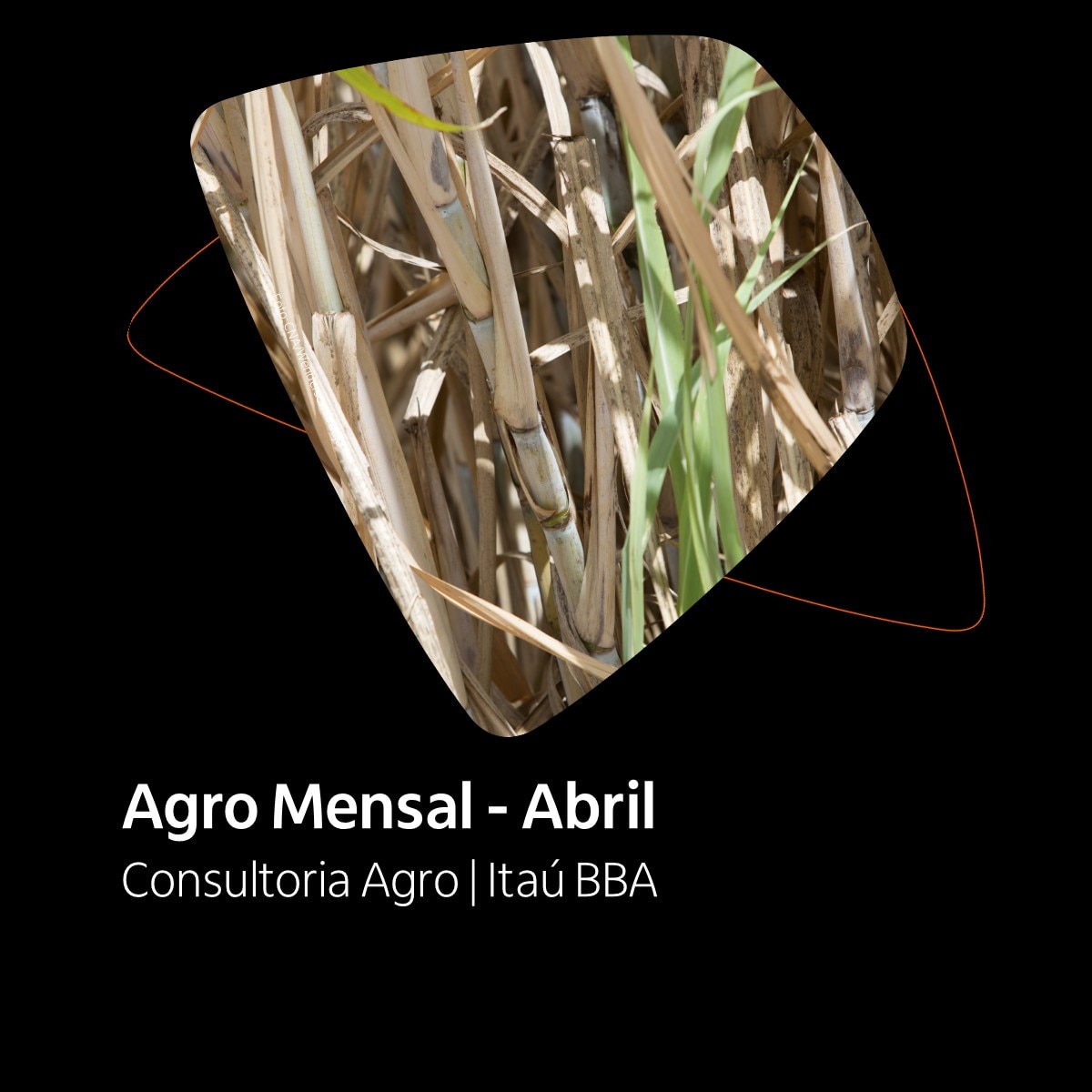 Principais análises do mês