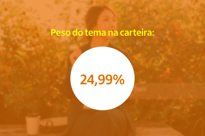 Imagem com o seguinte texto: "Peso do tema na carteira: 24,99%"