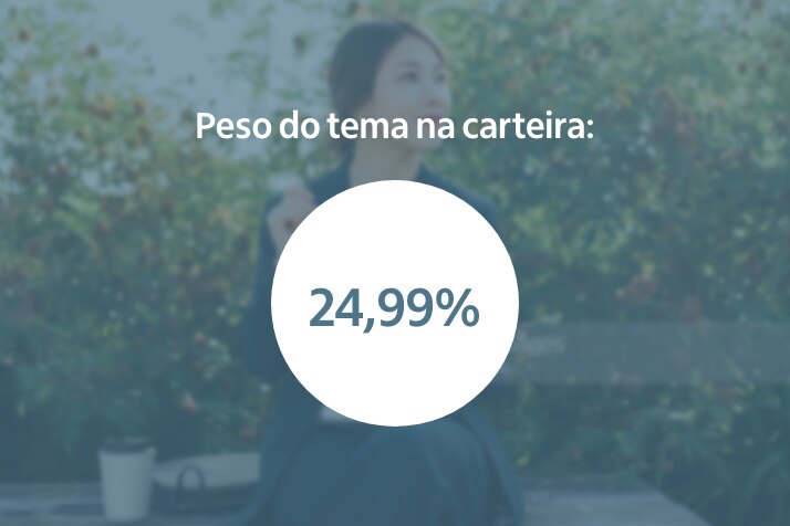 Peso do tema na carteira: 24,99%
