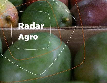 radar exportação