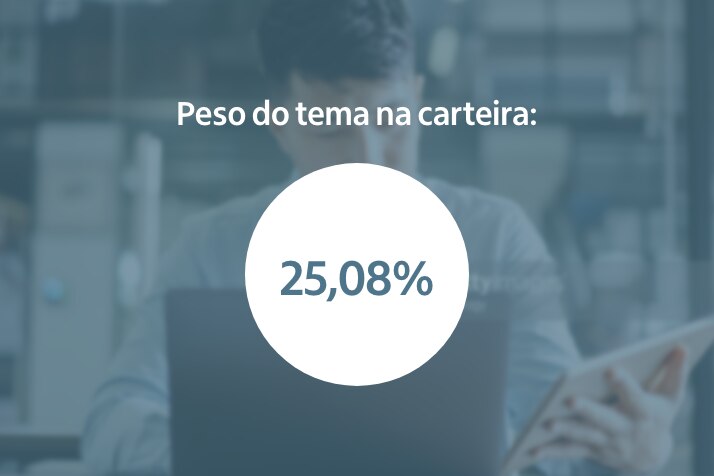 Peso do tema na carteira: 25,08%
