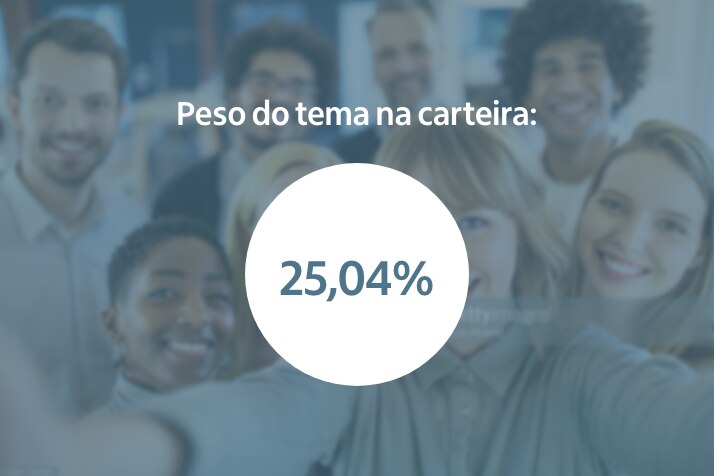 Peso do tema na carteira: 25,04%
