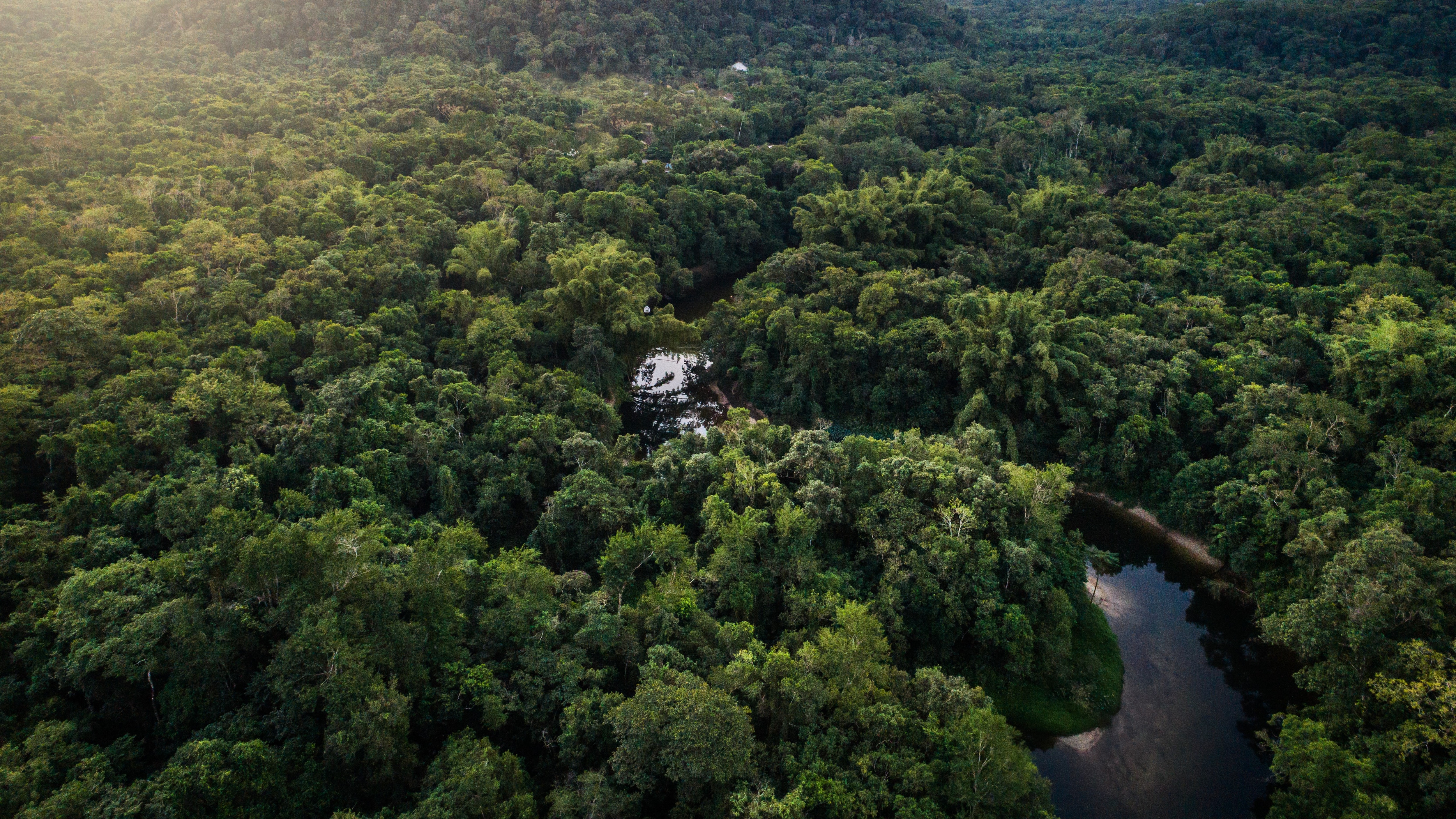 Brasil propõe fundo global para preservar florestas tropicais