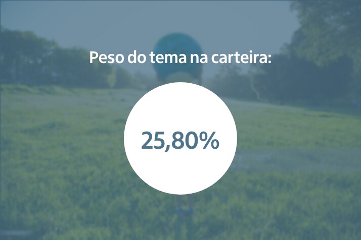 Peso do tema na carteira: 25,80%