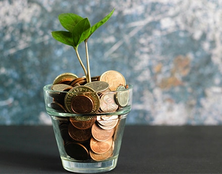 Imagem de uma planta em um pote com moedas guardadas