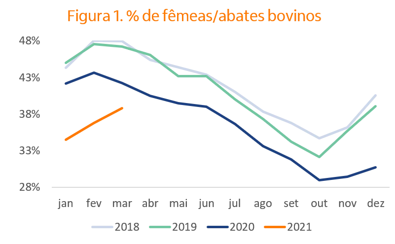 Gráfico mostrando a porcentagem de fêmeas/abates bovinos.