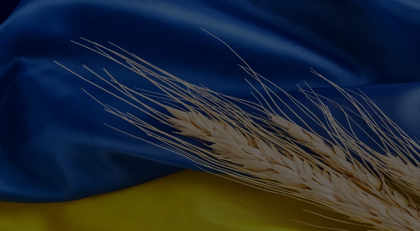 Imagem ilustrativa do artigo A inflação de um conflito