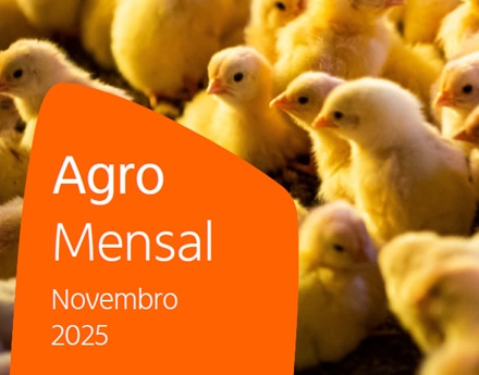 Principais análises do mês