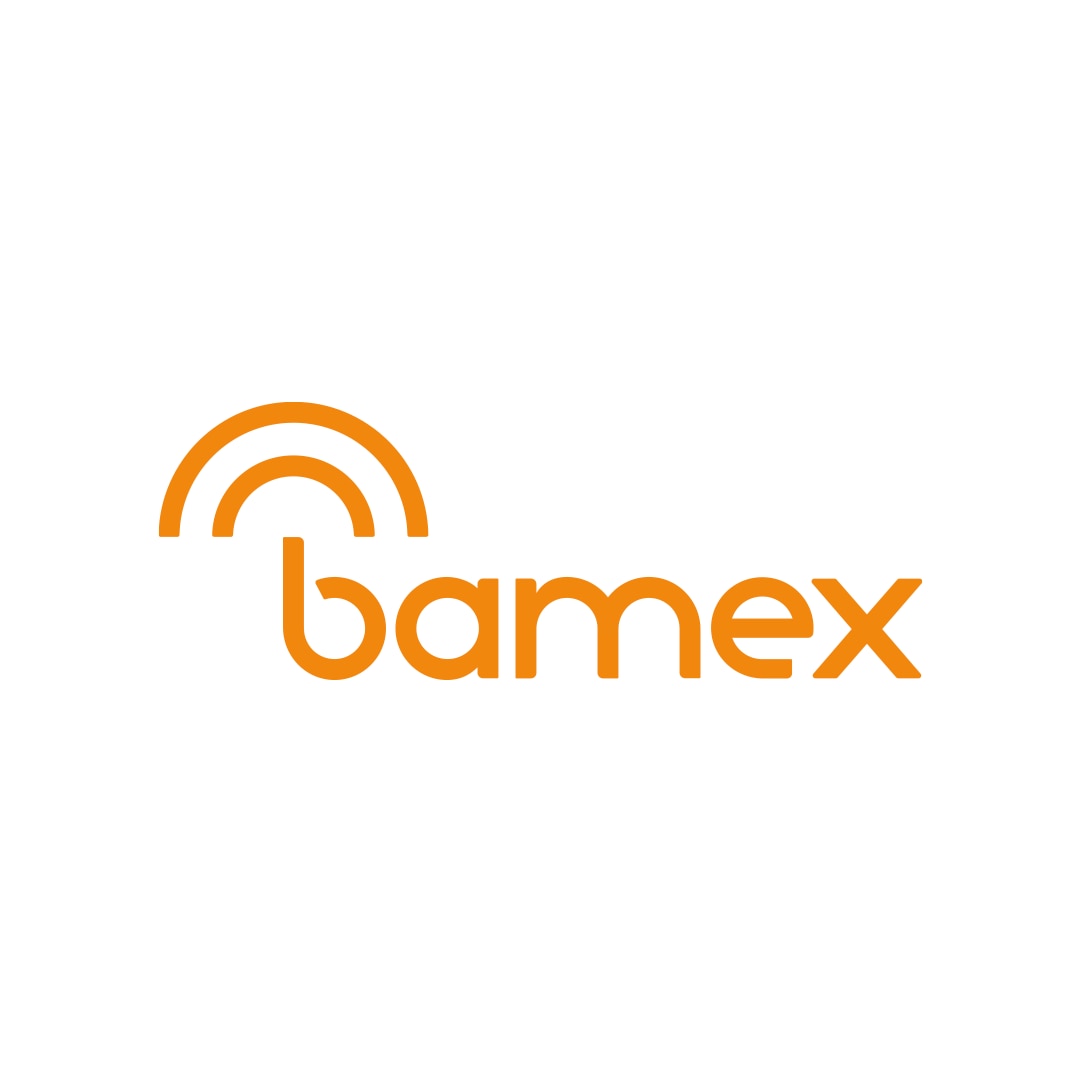 Logo da bandeira Bamex. Lê-se: "Bamex".