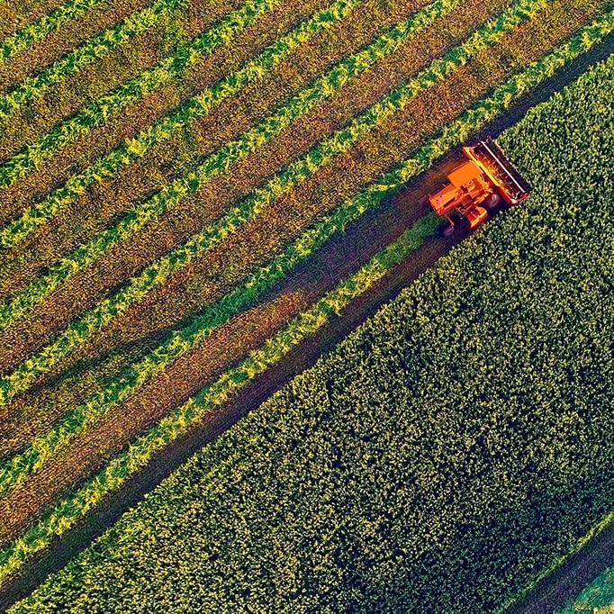 Vista aérea de um campo de plantação com maquinário.