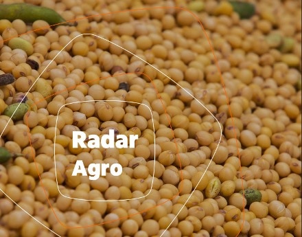 Imagem de soja com o texto "Radar Agro"
