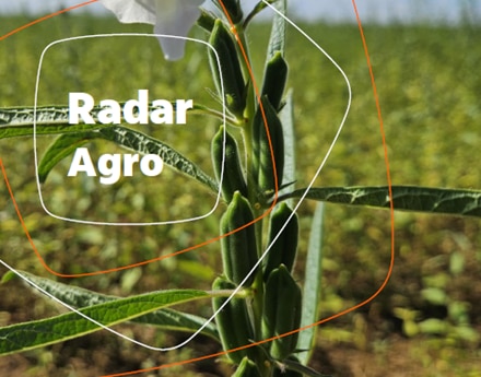 Imagem de um campo com a escrita "Radar Agro" 
