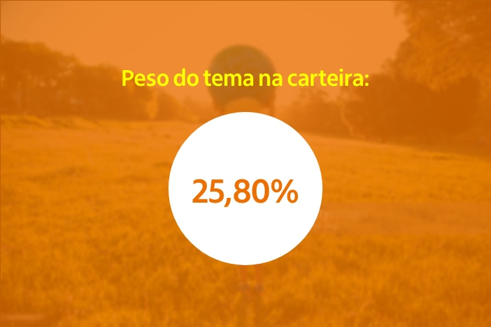 Imagem com o seguinte texto: "Peso do tema na carteira: 25,80%"