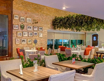 Imagem do restaurante Alfredo'ro