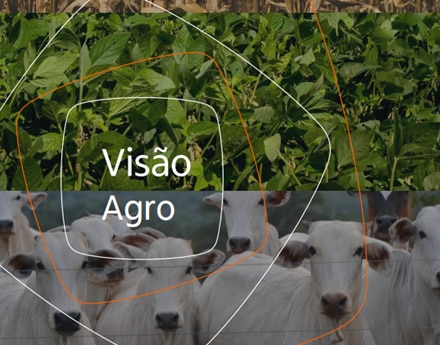 Visão Agro