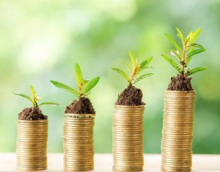 moedas com plantas em cima