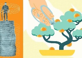 ilustração com um bonsai
