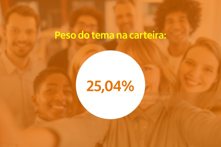 Imagem com o seguinte texto: "Peso do tema na carteira: 25,04%"