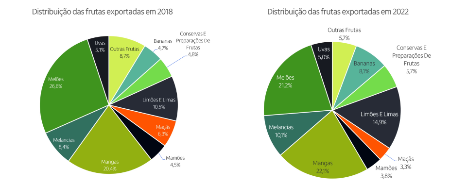 Imagem ilustrativa do artigo Perspectivas da fruticultura para 2023