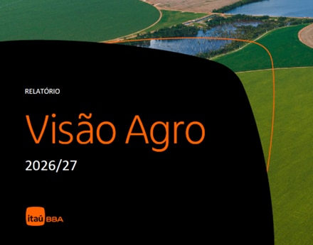 visão