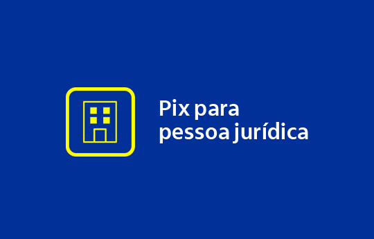 Título da imagem "Pix para pessoa jurídica"