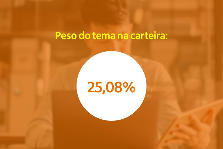 Imagem com o seguinte texto: "Peso do tema na carteira: 25,08%"
