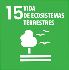 Icone 9 Finanzas Sostenibles